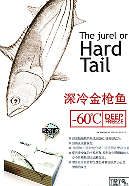 金槍魚海報(bào)設(shè)計(jì)圖片
