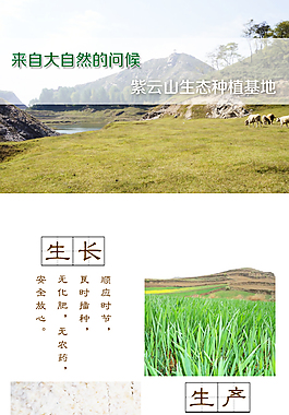 手机端全麦面粉详情页