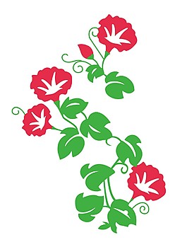 喇叭花牽?；?/>
                            </a>
                            <div   id=