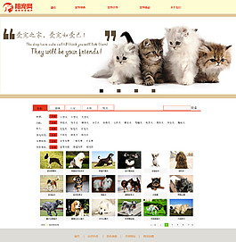 寵物網(wǎng)頁(yè)效果圖