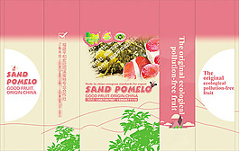 红肉柚子包装设计psd素材下载