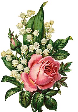 歐式復(fù)古 英倫風(fēng) 花朵 手繪玫瑰花
