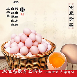 正宗有機(jī)初生蛋雞蛋散養(yǎng)草雞蛋