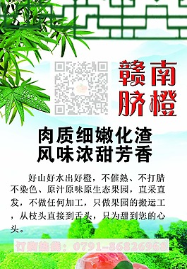 赣南脐橙x展板易拉宝广告水果