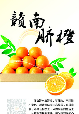 赣南脐橙x展板易拉宝广告水果