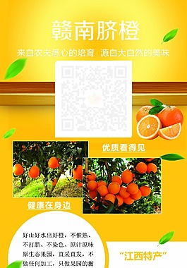 赣南脐橙x展板易拉宝广告水果