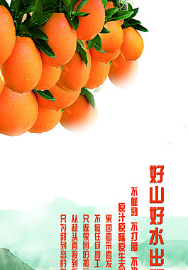 赣南脐橙x展板易拉宝广告水果