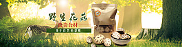 野生蘑菇海報(bào)