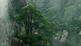 云霧繚繞視頻素材