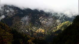 山林霧景視頻素材