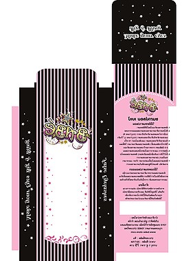 假睫毛 塑料盒