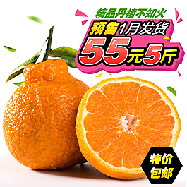 不知火主圖