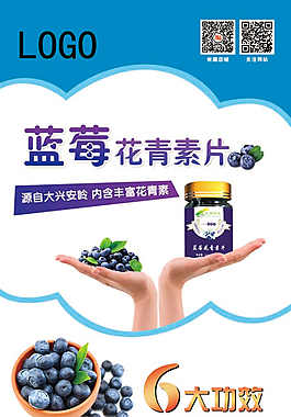 易拉寶 展架 海報(bào) 藍(lán)莓