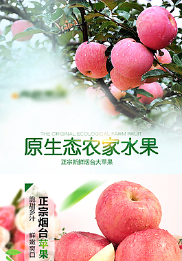 蘋果   水果   紅富士蘋果詳情頁