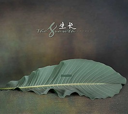 高清影樓寶寶成長3D摳圖模板