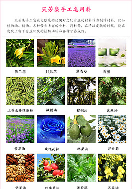 天芳集手工皂用料