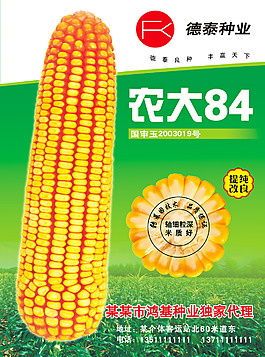 玉米
