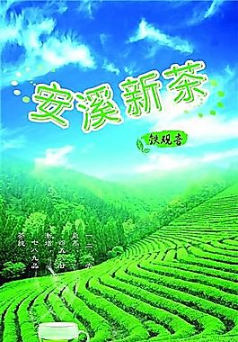 安溪新茶 茶葉 飲料 分層PSD