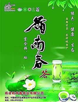 嶺南春 茶葉 飲料 分層PSD
