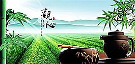 茶葉 飲料 分層PSD