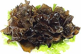 菜品样图66 食品餐饮 菜谱素材 分层PSD