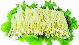 菜品樣圖50 食品餐飲 菜譜素材 分層PSD