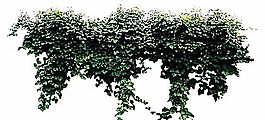 花藤 房地產(chǎn)畫冊(cè) 房地產(chǎn)模板 分層PSD