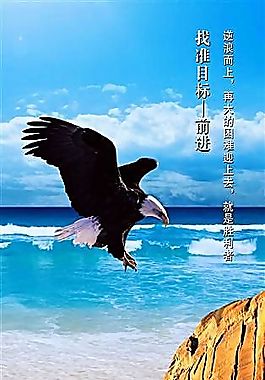 找准目标 企业文化 企业形象 分层PSD 1206