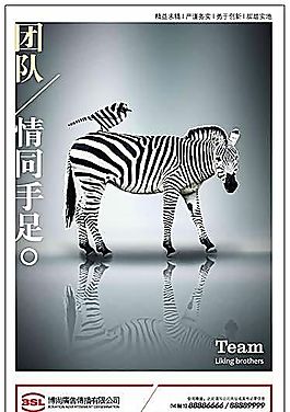 企業(yè)文化 企業(yè)形象 分層PSD 151