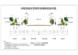 興旺路綠化橫斷面圖