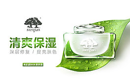抹抹清茶
