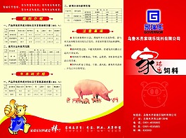 飼料  三折頁  家禽飼料