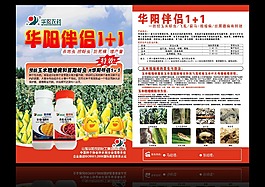 農產品彩頁