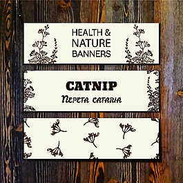 手繪植物薄荷banner