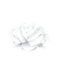 矢量玫瑰花