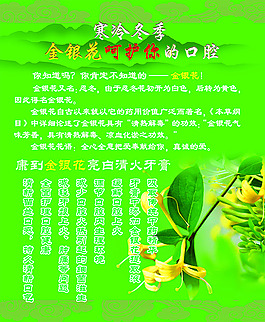 金銀花海報
