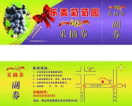 葡萄采摘節 采摘券