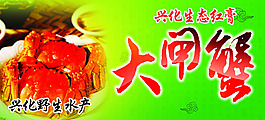 生態大閘蟹