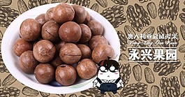 夏威夷果矢量卡通banner圖