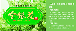 金銀花