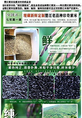 紫米詳情