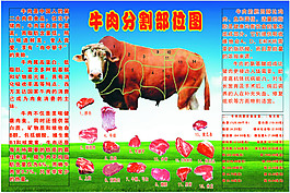 牛肉分割部位圖