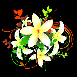 雞蛋花