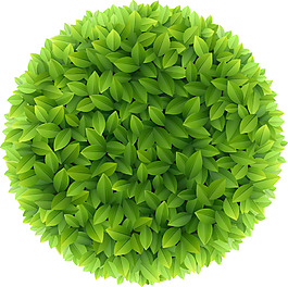 树叶矢量素材