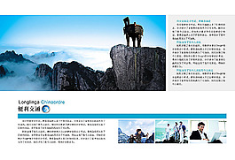 企業(yè)畫(huà)冊(cè)設(shè)計(jì)
