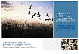 公司畫冊(cè)版式