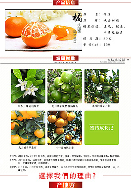 淘寶柑橘詳情頁(yè)