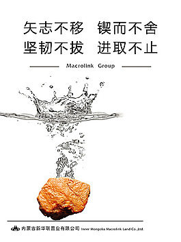 新華聯(lián)置業(yè)文化展板模板