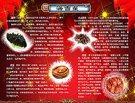 美食广告模板