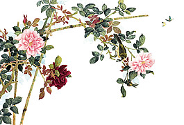 高清蝴蝶花朵大圖